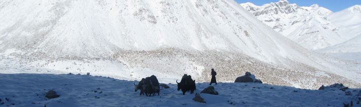 Tibet Tours and Travels